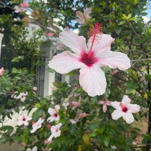 Meet your Posher, Tijana